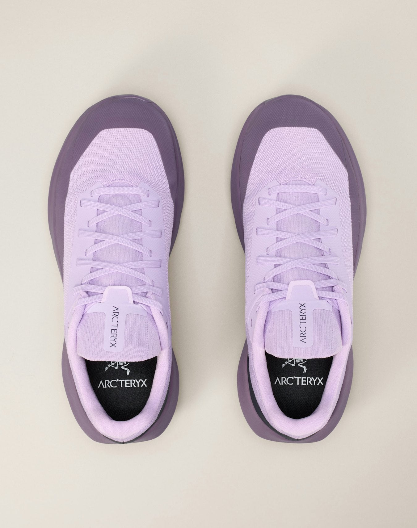 Norvan LD 4 GTX Shoe